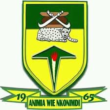 Assin Manso SHS